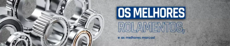 rolamentos (1)_11zon